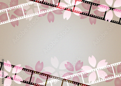 フィルムと桜