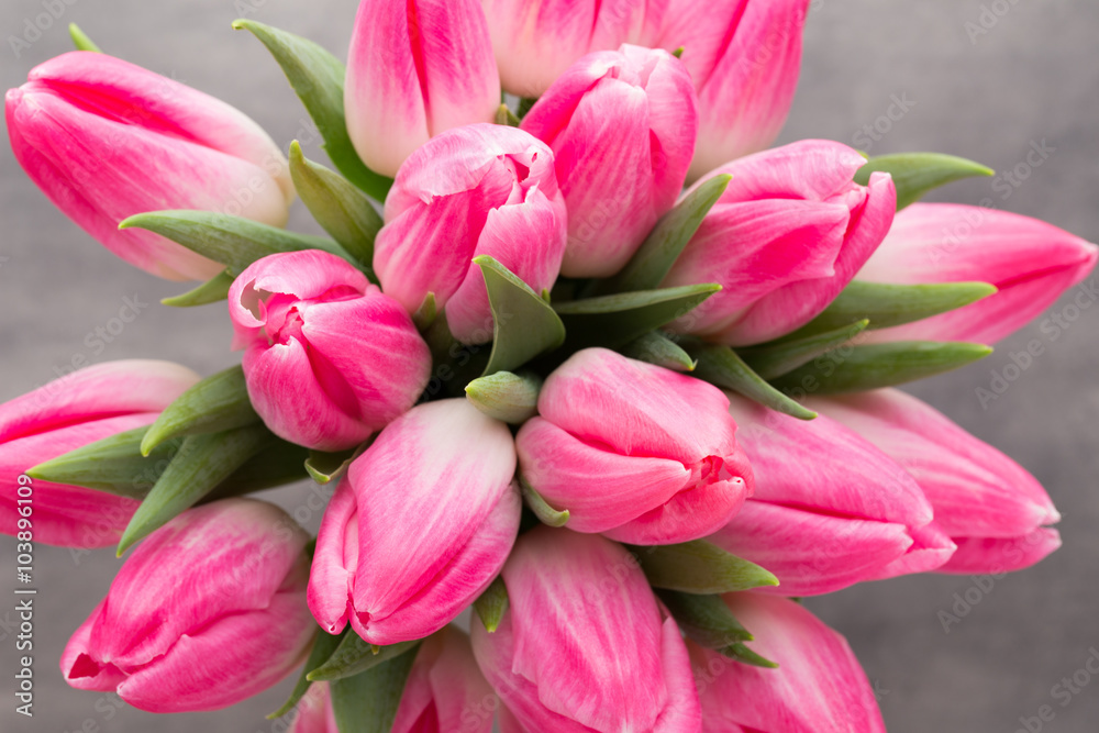 More tulip on the grey background. More tulip on the grey background.