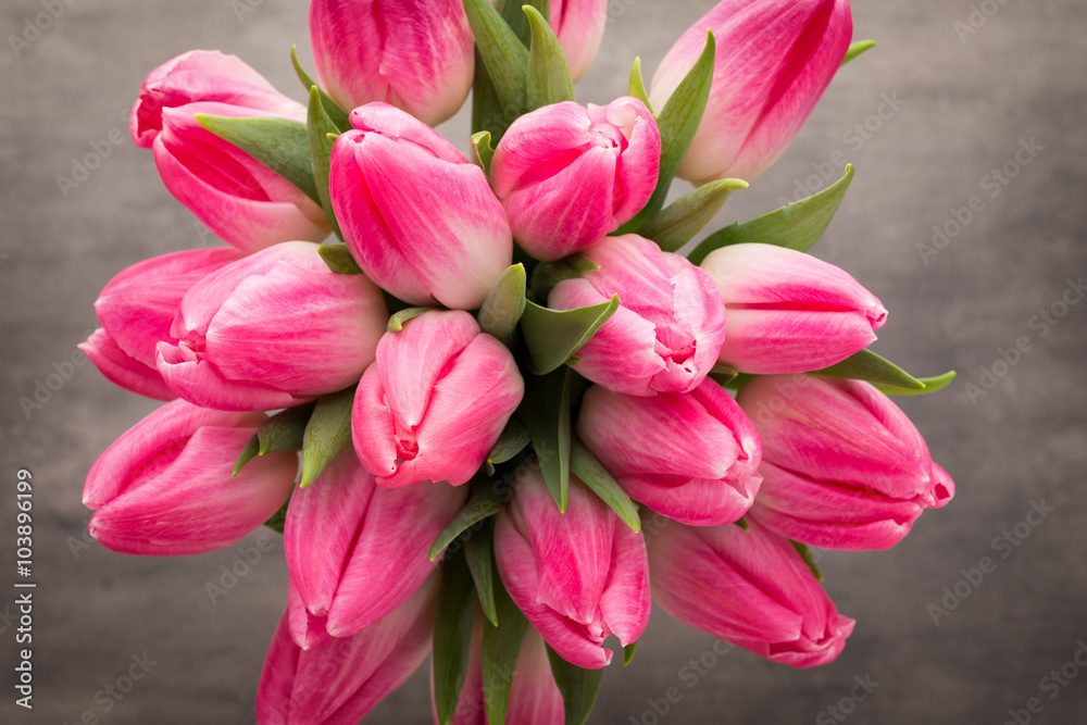 More tulip on the grey background. More tulip on the grey background.