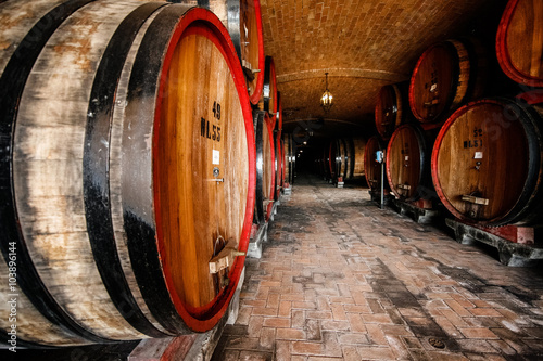 wine cellar - barrel