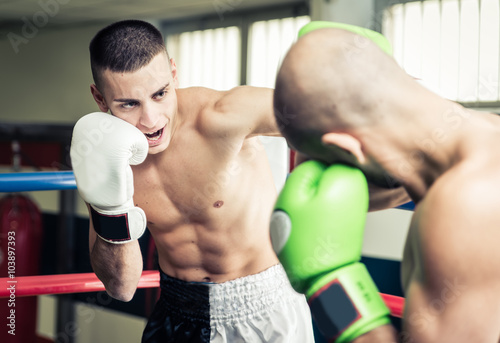 Kickboxers training on the ring photo