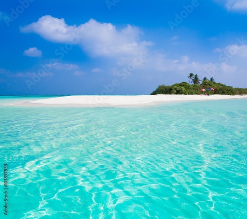 Fototapeta Naklejka Na Ścianę i Meble -  Maldives,  tropical sea background!