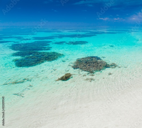 Maldives,  tropical sea background 3!
