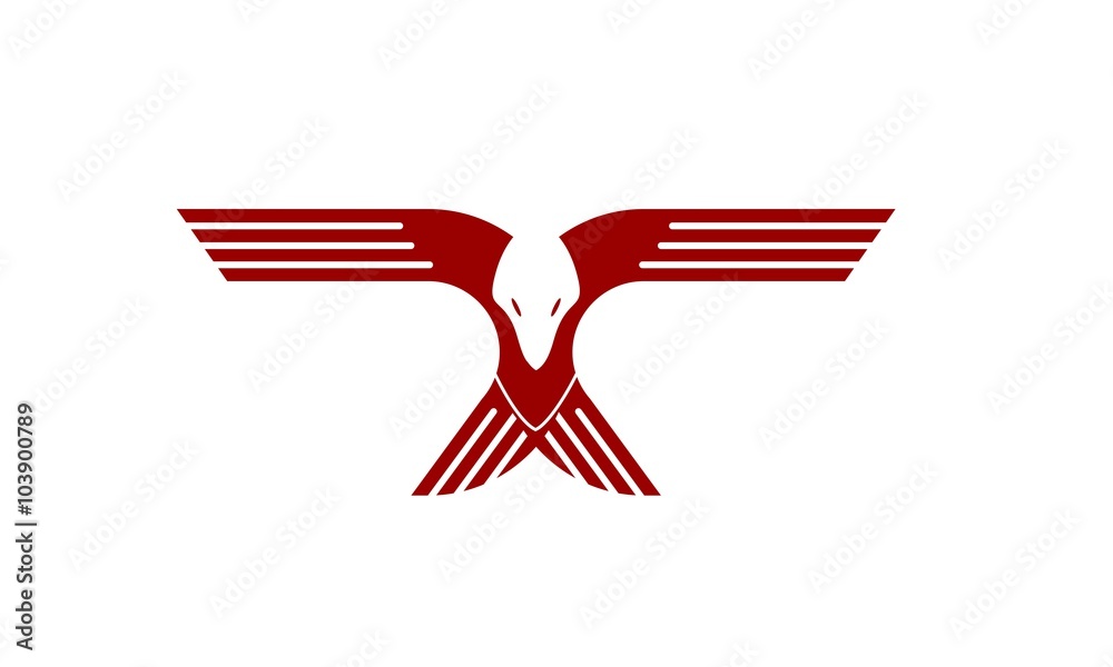 Elements of the concept logo eagles' wings to fly colorful as letters