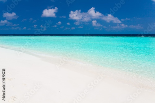 Maldives   tropical sea background 