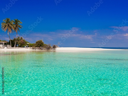 Fototapeta Naklejka Na Ścianę i Meble -  Maldives,  tropical sea background
