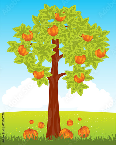 Aple tree with red apple