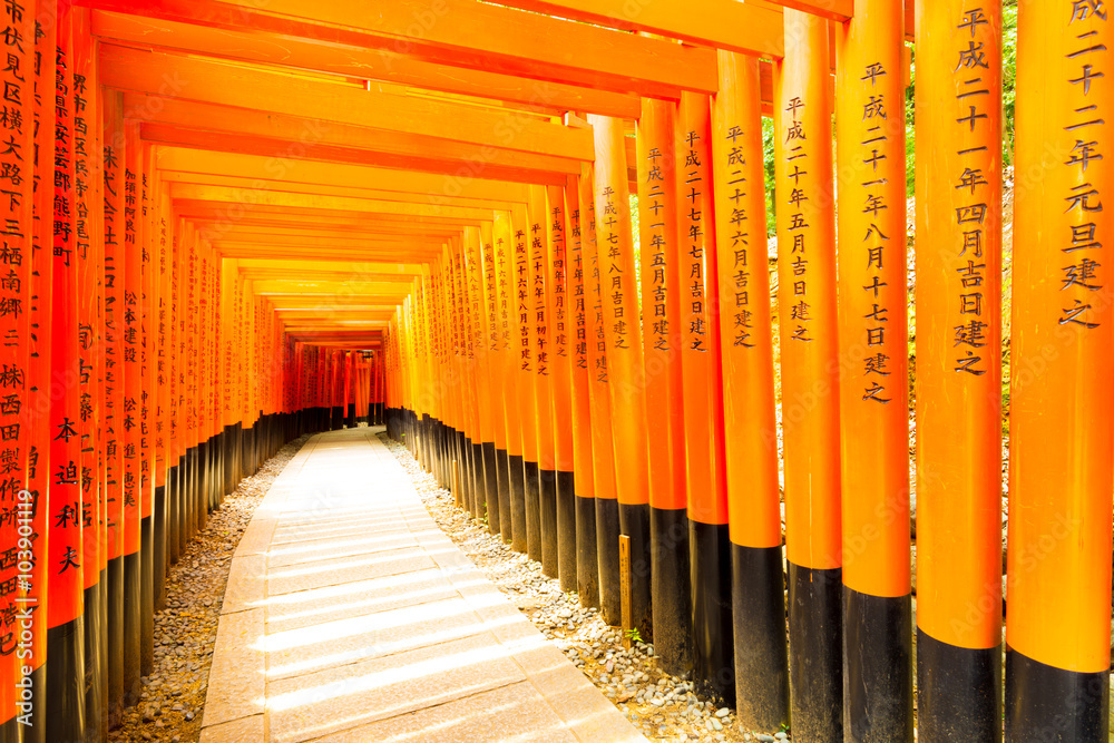 Naklejka premium Fushimi Inari Shrine Curved Writing Torii Gates H