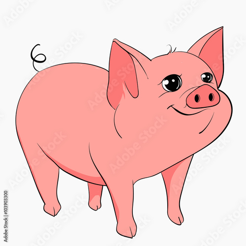 pig
