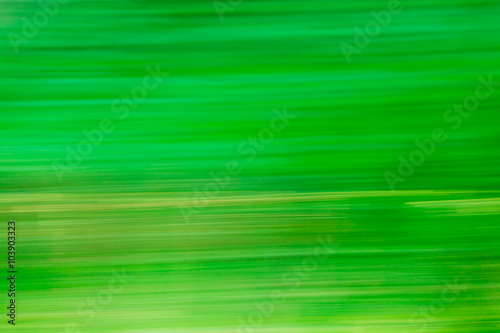 Abstract Natural Green Motions Blur Background