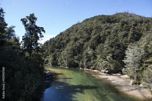 Río con aguas cristalinas en el parque de Abel Tasman, Nueva Zelanda