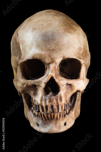 Human skull on black background