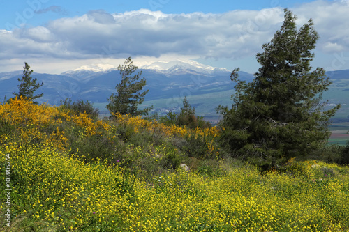 Landscape With Golan Heights,Israel