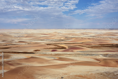 Namib desert, Namibia, Africa