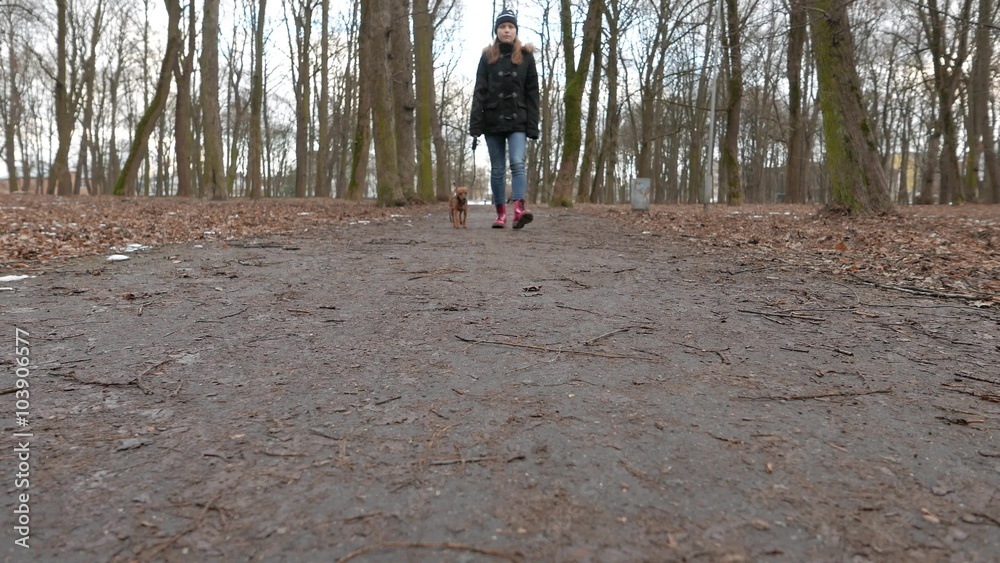 Girl and her dog playing in a park in autumn or spring. Girl and her dog playing in a park in autumn or spring.