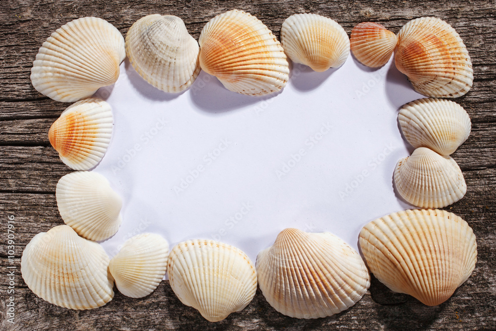 blank sheet of paper and shells on wooden background blank sheet of paper and shells on wooden background