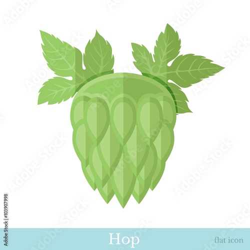 flat icon cones of hop on white