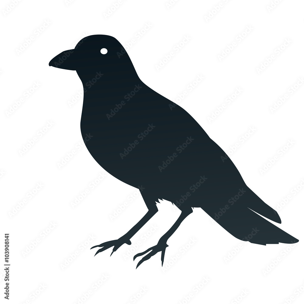 Fototapeta premium This is an illustration of a crow symbol