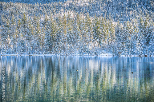 Idyllic winter wonderland with mountain lake and snow covered trees