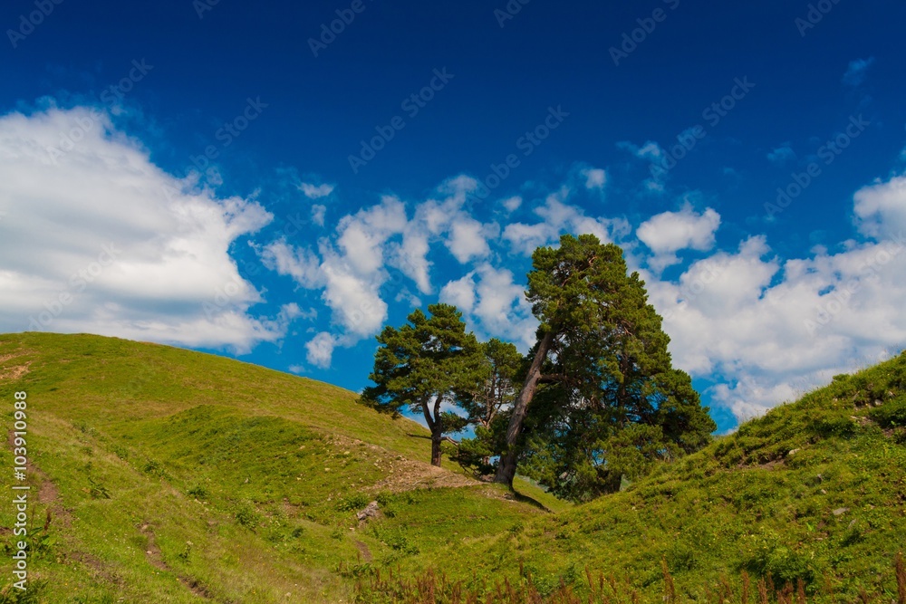 Mountain day summer