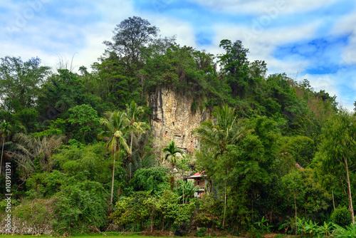 Suaya is cliffs burial site in Tana Toraja, South Sulawesi, Indonesia