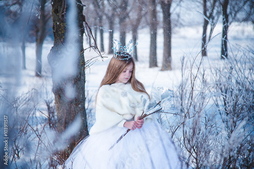 Snowy princess