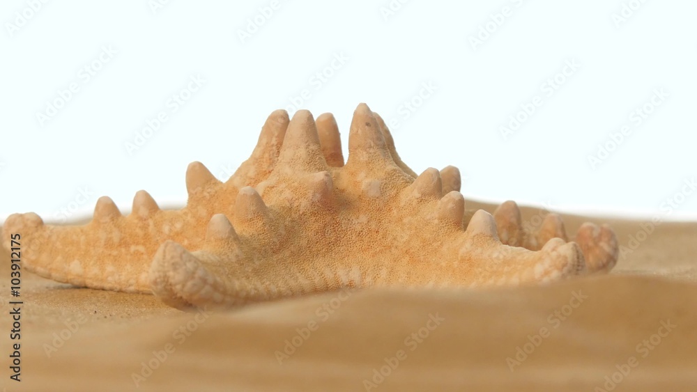 Starfish on beach sand, white, rotation, closeup Starfish on beach sand, white, rotation, closeup