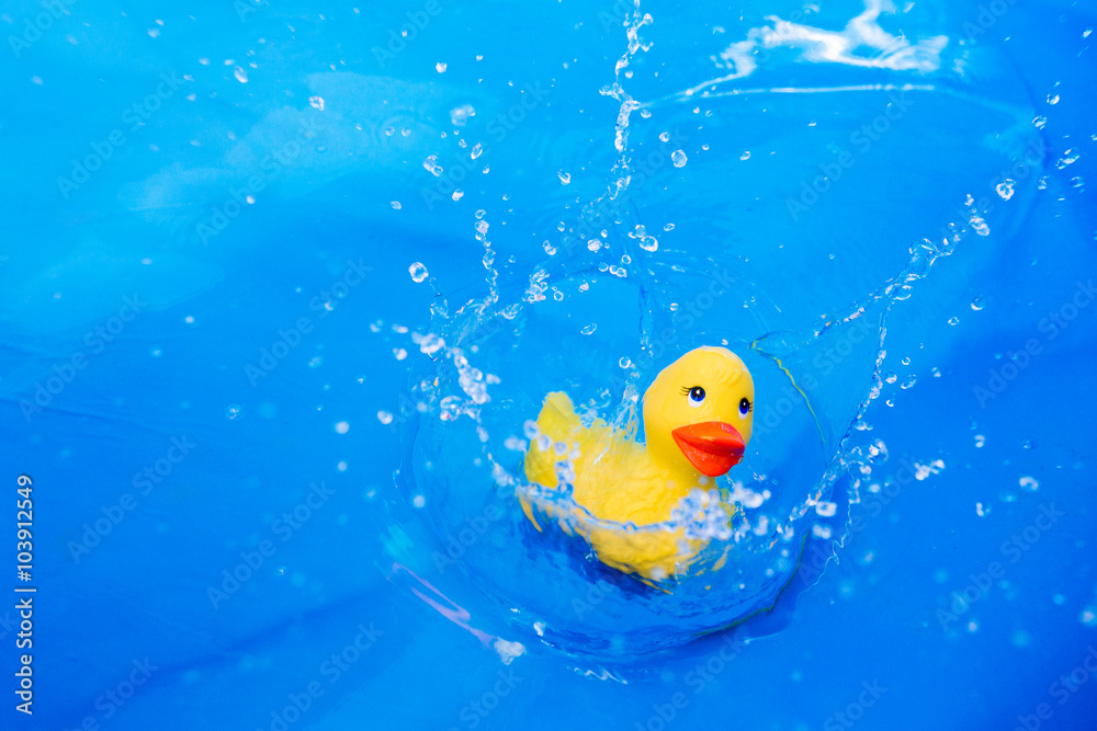 Children's toy duck drop into water Children's toy duck drop into water