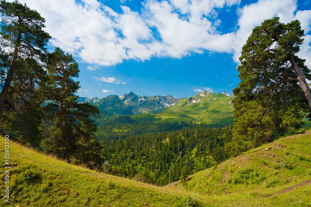 Naklejka premium Mountain day summer