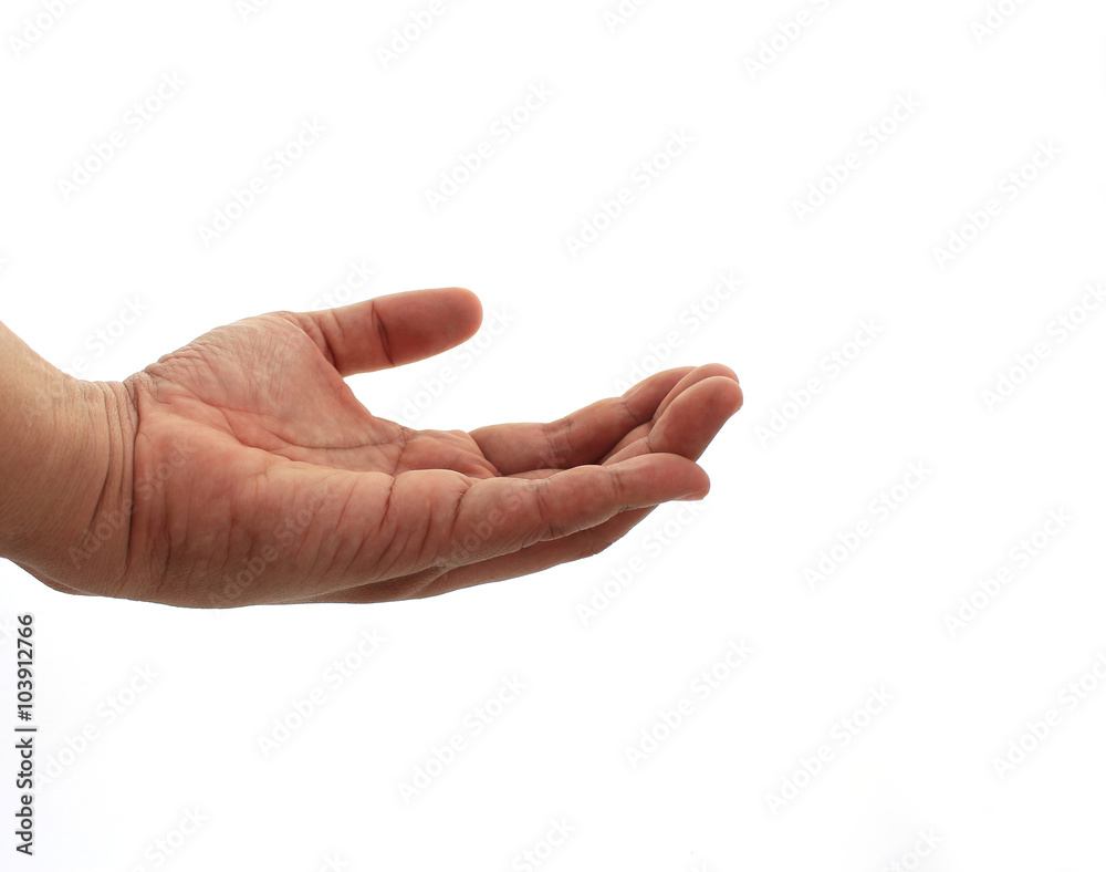 hand on the isolated background