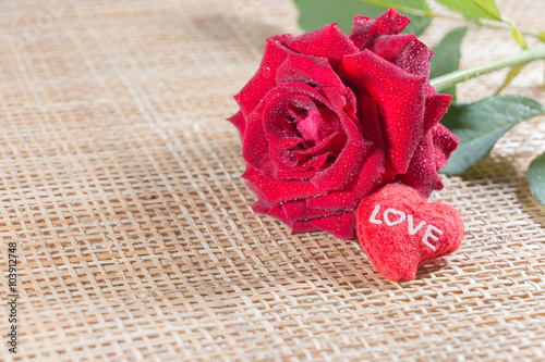 Valentine red roses close up