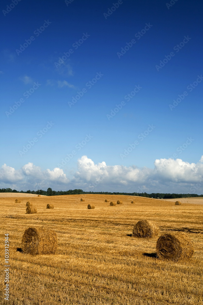 Agricultural landscape with bales of straw