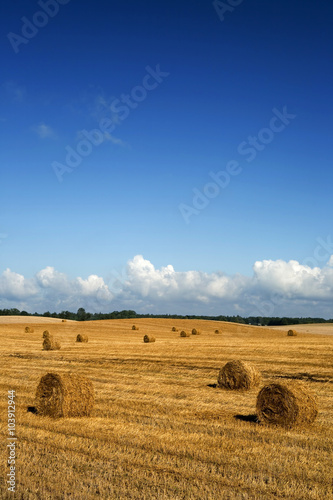 Agricultural landscape with bales of straw