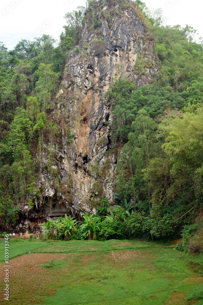 Londa is cliffs and cave burial site in Tana Toraja, South Sulaw