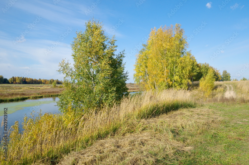 Autumn view of the river Teach in the suburbs Autumn view of the river Teach in the suburbs