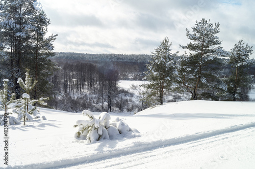 Rural landscape in winter