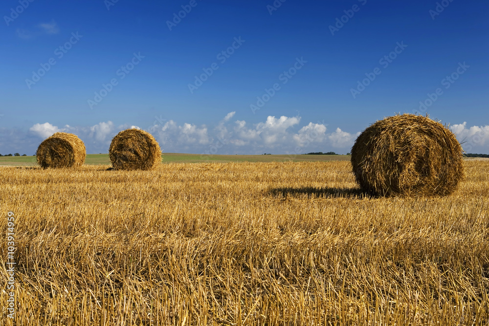 Harvest in Poland - bales of straw