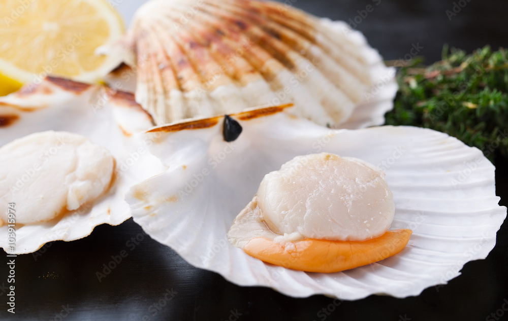 Raw fresh scallops in the shell with lemon Raw fresh scallops in the shell with lemon