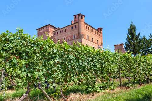 Vineyards of Grinzane Cavour in Italy.