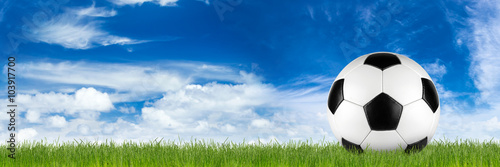 wide retro soccer ball on grass banner in front of blue cloudy sky
