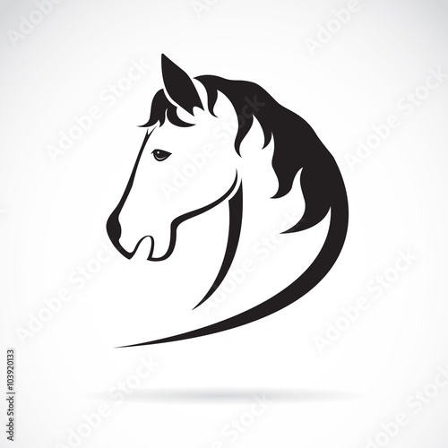 Fototapeta Naklejka Na Ścianę i Meble -  Vector image of a horse head design on white background