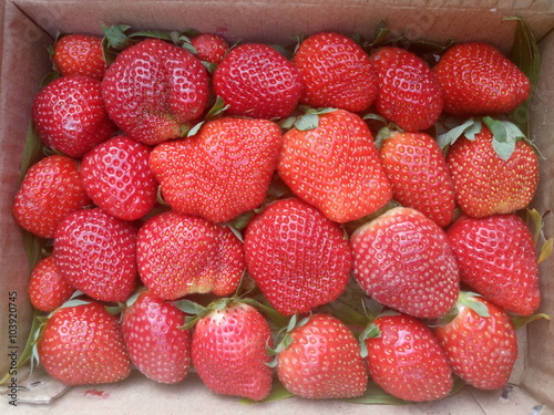 Directly above shot of fresh strawberries for sale