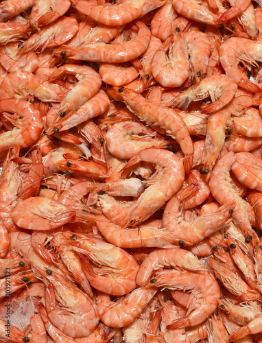 Fresh shrimp on ice. Fresh seafood on a fish market stall.