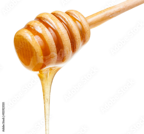 clear honey flows down from wooden stick close up