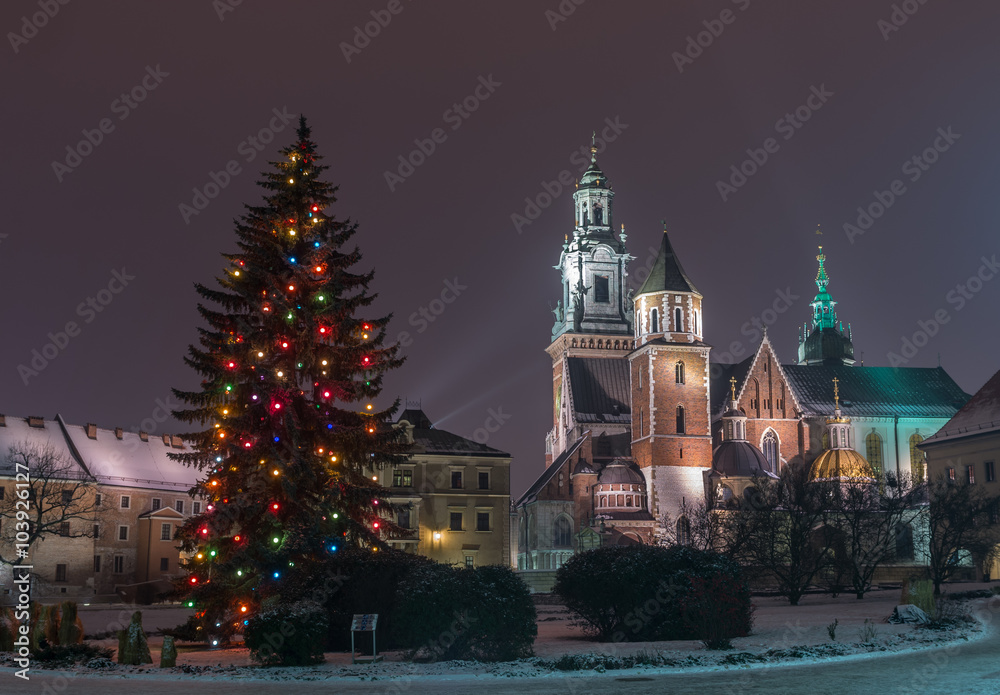 Obraz premium Winter view of the cathedral of St Stanislaw and St Vaclav and Christmas tree on the Wawel Hill, Krakow, Poland.