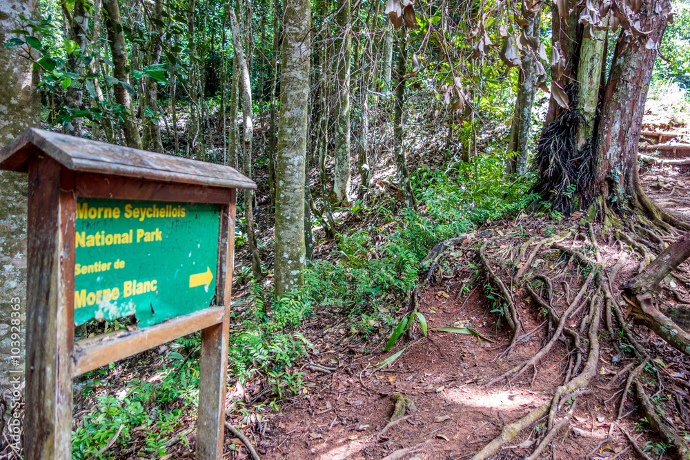 Morne Seychellois National Park - Mahe - Seychelles Morne Seychellois National Park - Mahe - Seychelles