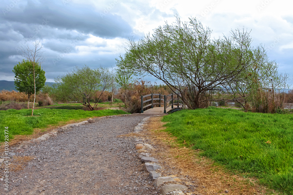 Early Spring in the Park.Clouds Before the Rain Began