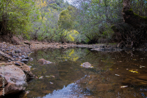 Beautiful river stream in benemola  Portugal.