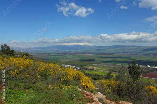 Landscape With Golan Heights,Israel