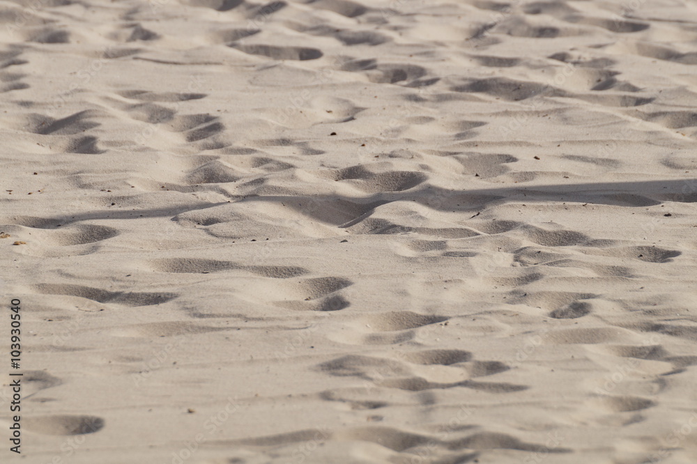 sandy beach sandy beach